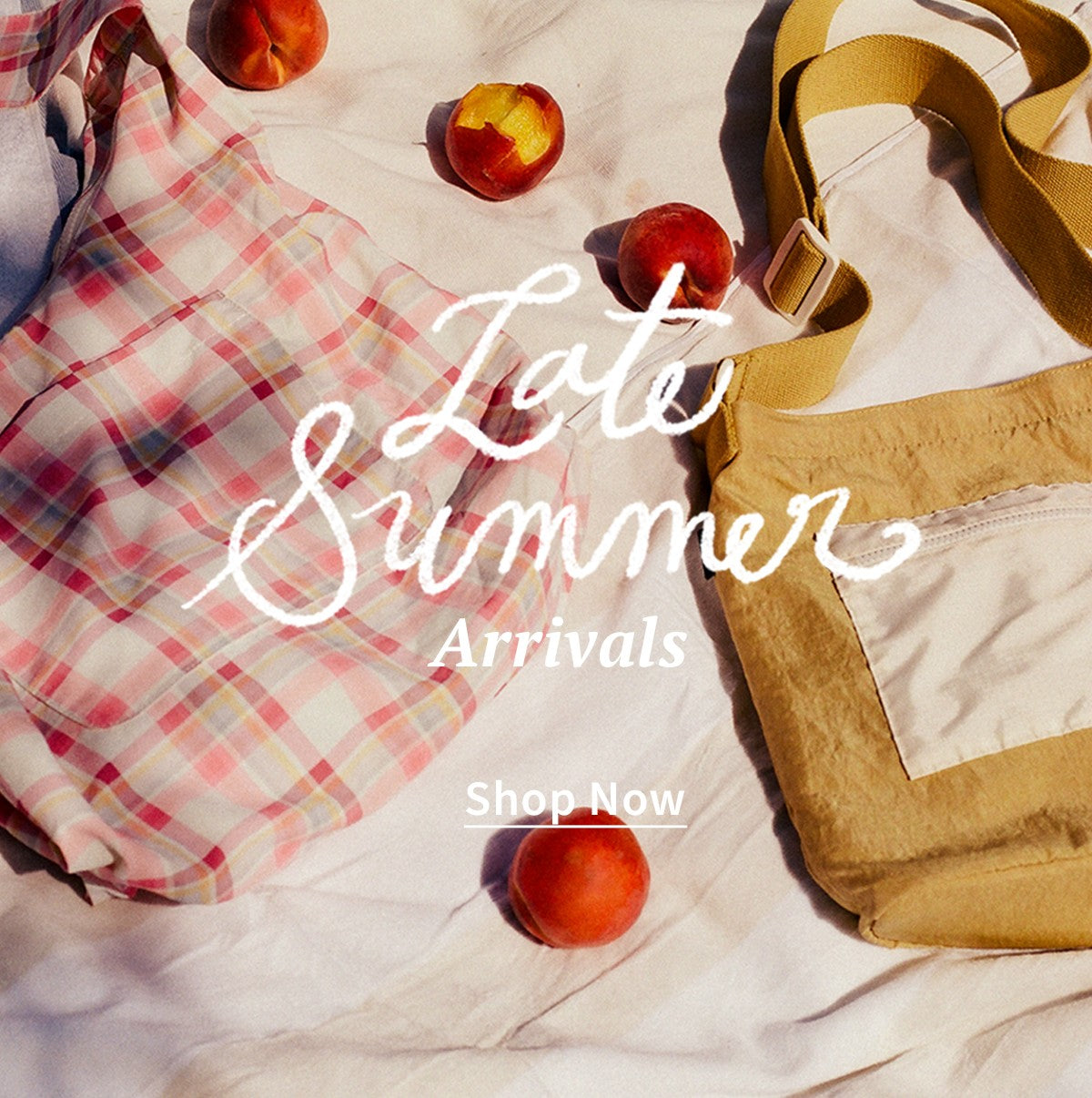 New Arrivals