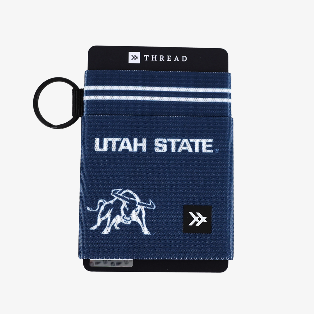USU Bull - Elastic Wallet