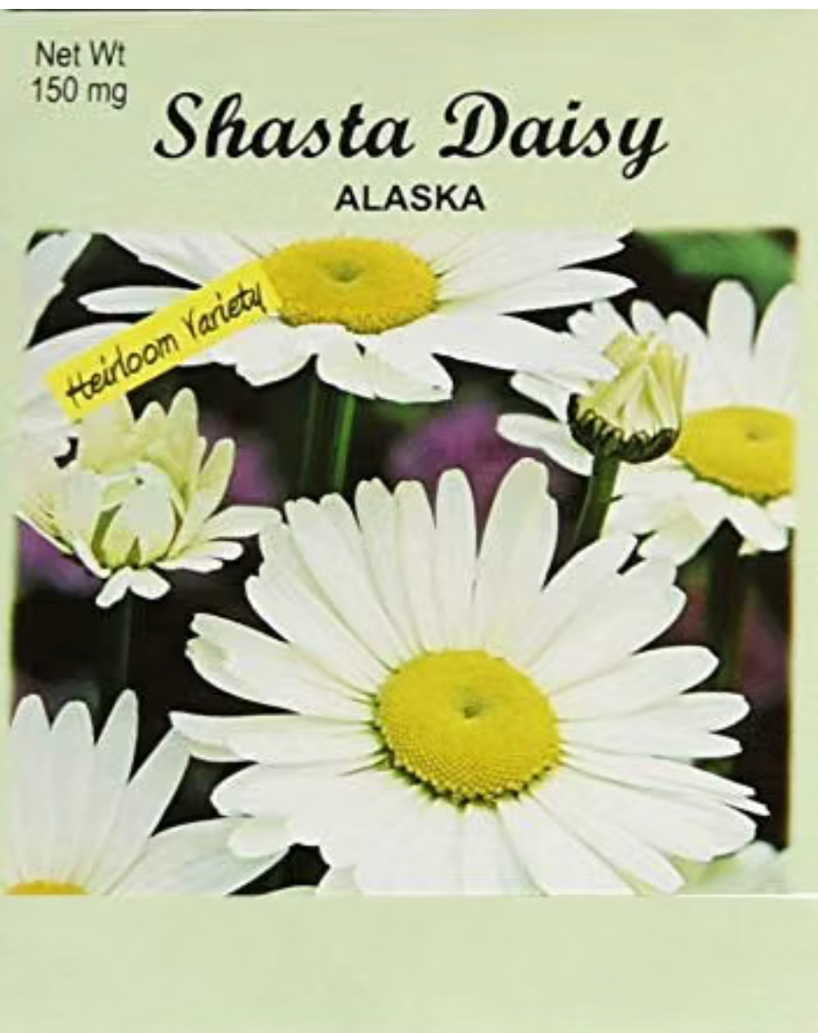 Promotional Daisy Seeds