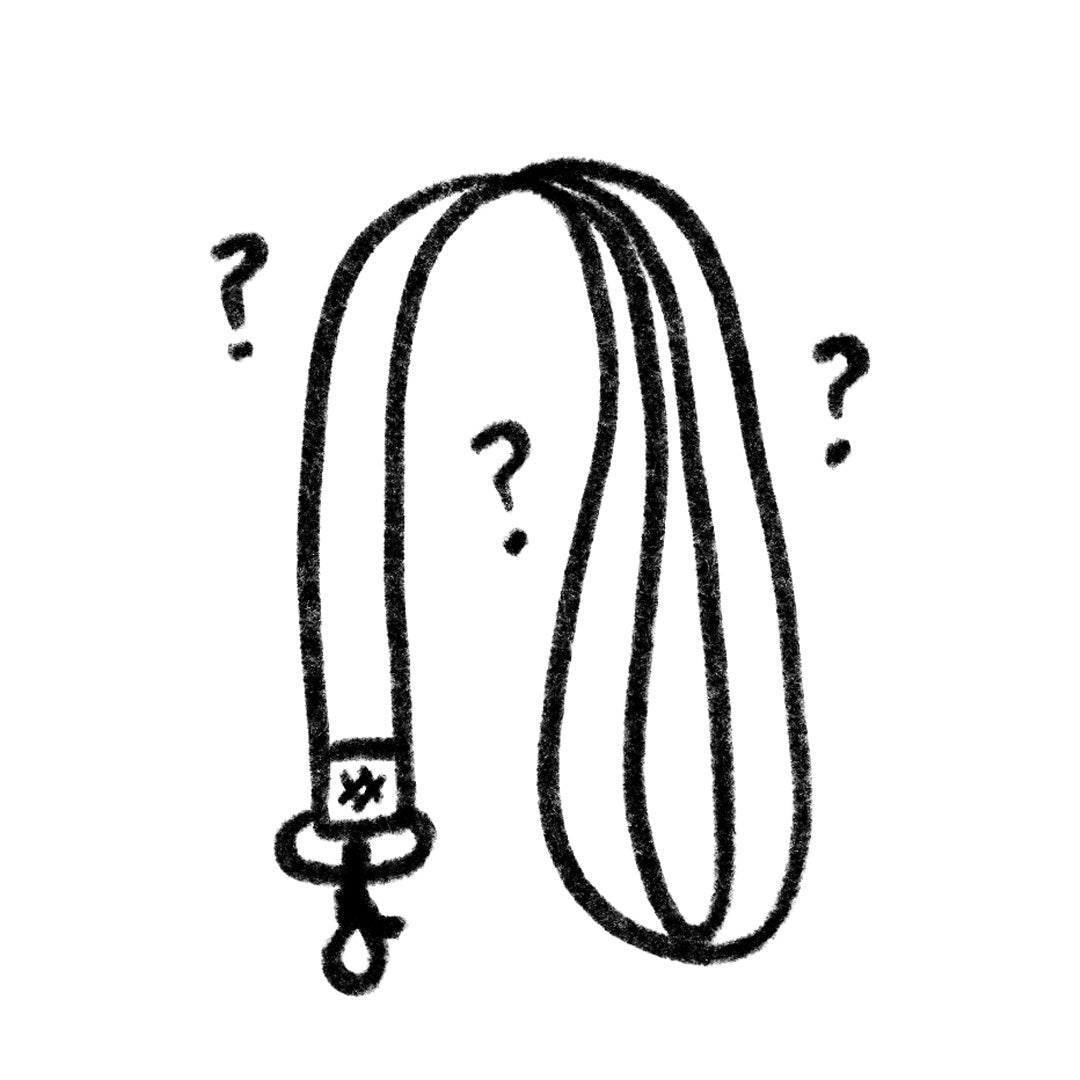 Mystery neck lanyard