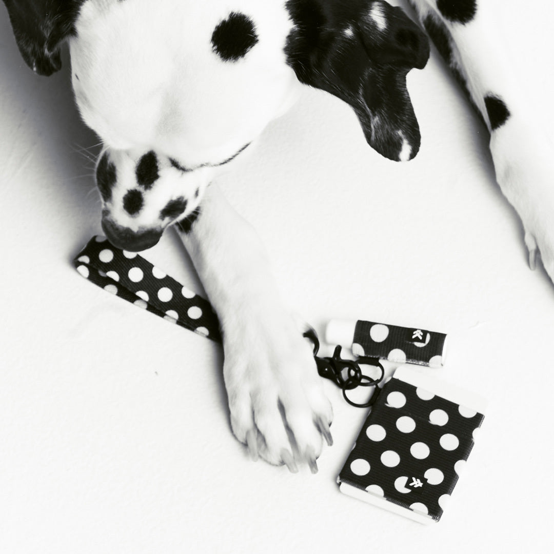 Lip Balm Holder - Polka Dot - Thread®