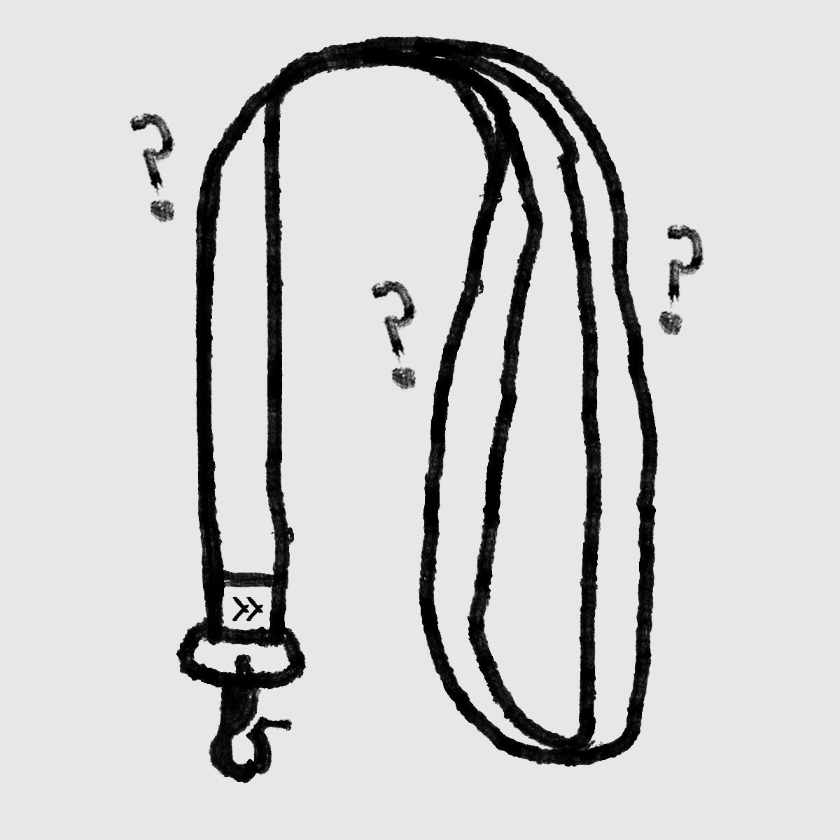 Mystery neck lanyard