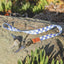 Blue and white checkered neck lanyard