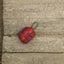 AirPods 3 / Red/Orange | AirPods 1 & 2 / Red/Orange | AirPods Pro / Red/Orange